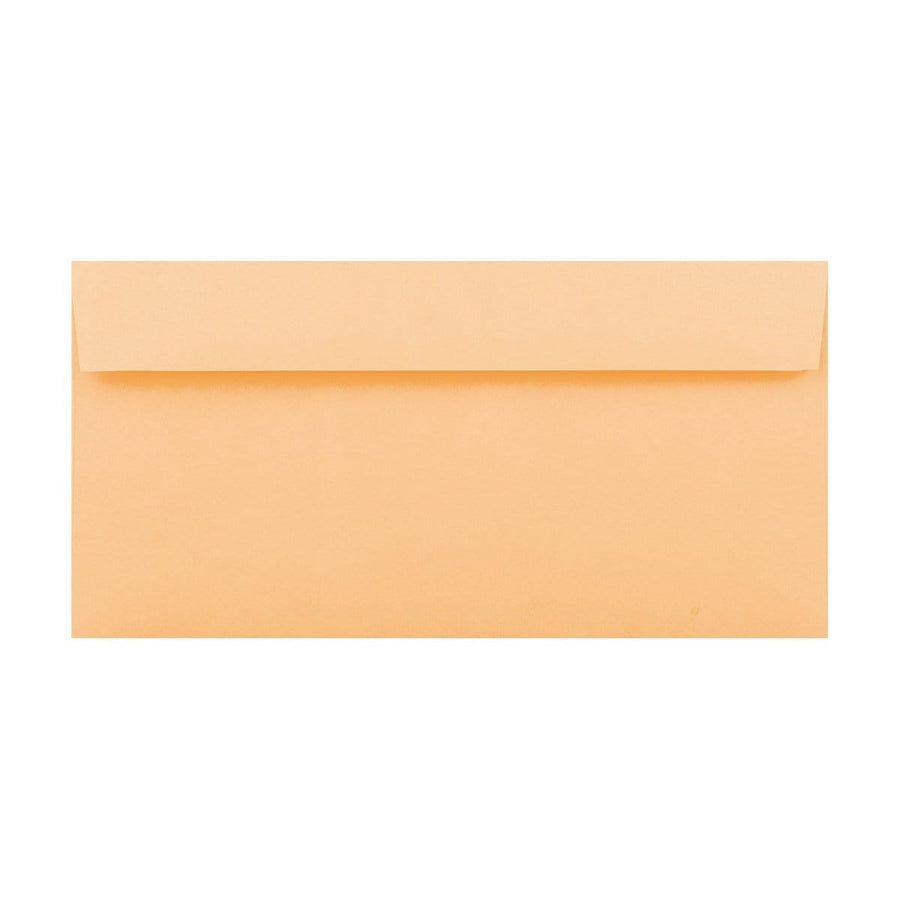 products/dl-peach-envelopes.jpg