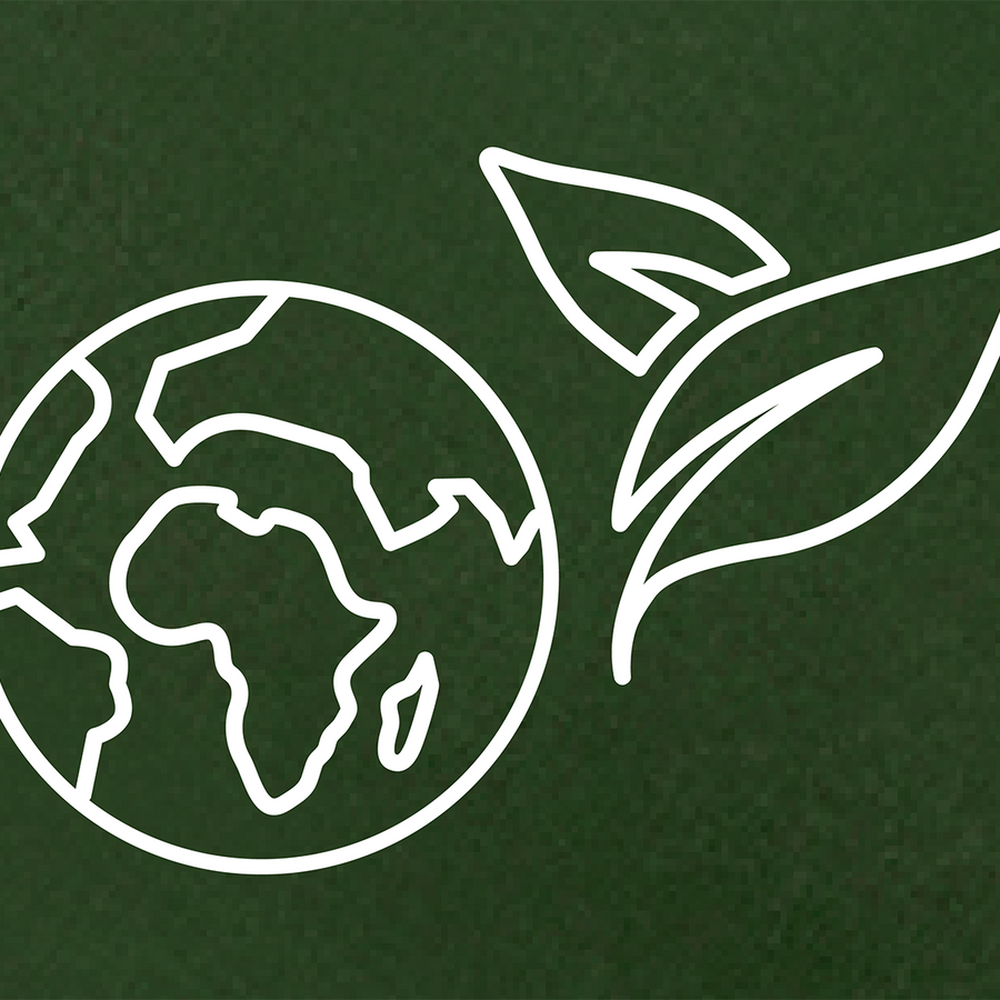 articles/ACE_Website_Global_Recycling_Day-01.png