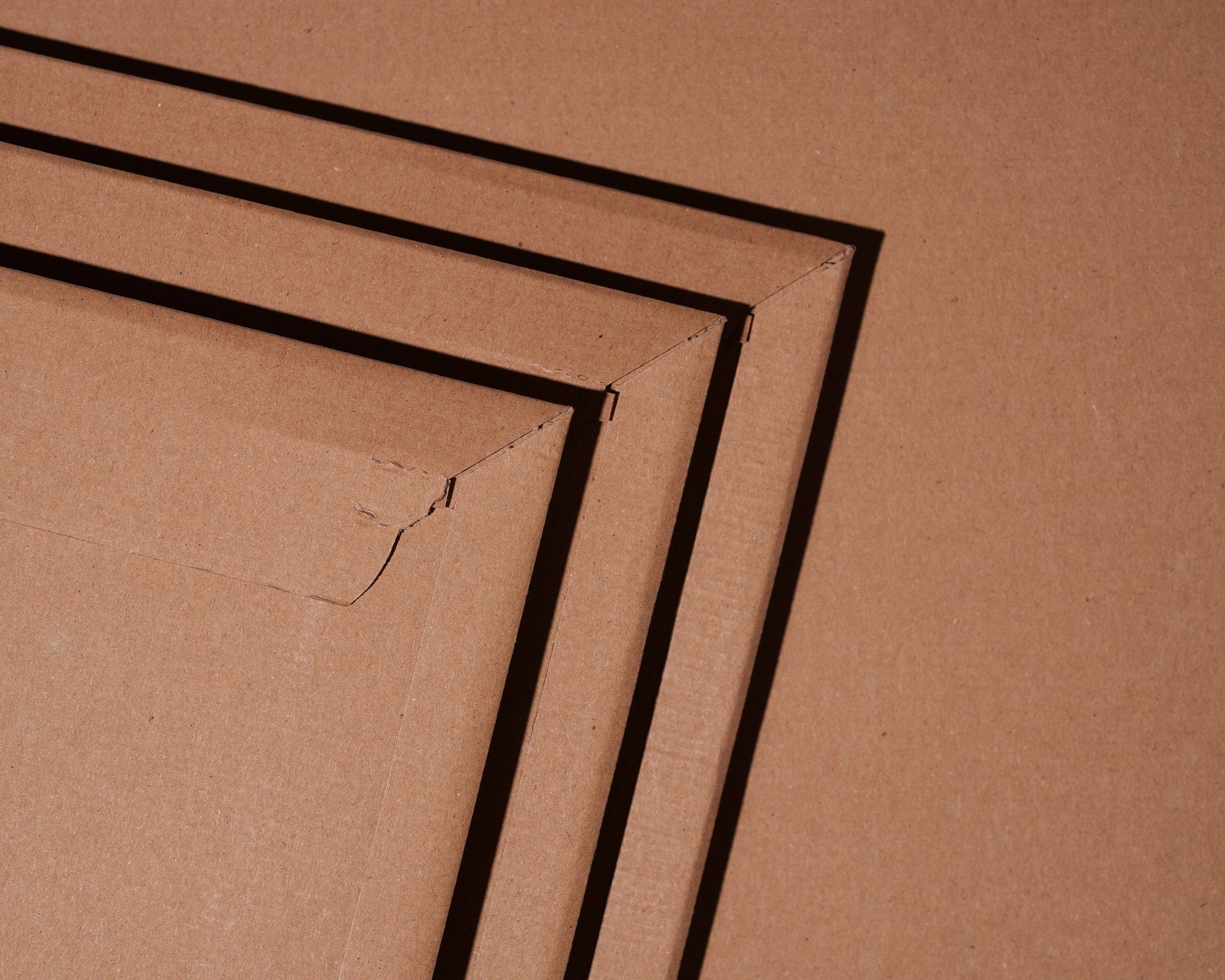 Eco-Friendly Envelopes for SMEs: 4 Reasons To Switch to Sustainable Mailers Today