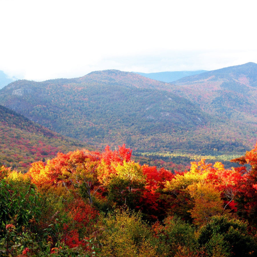 articles/New_hampshire_in_autumn.jpg