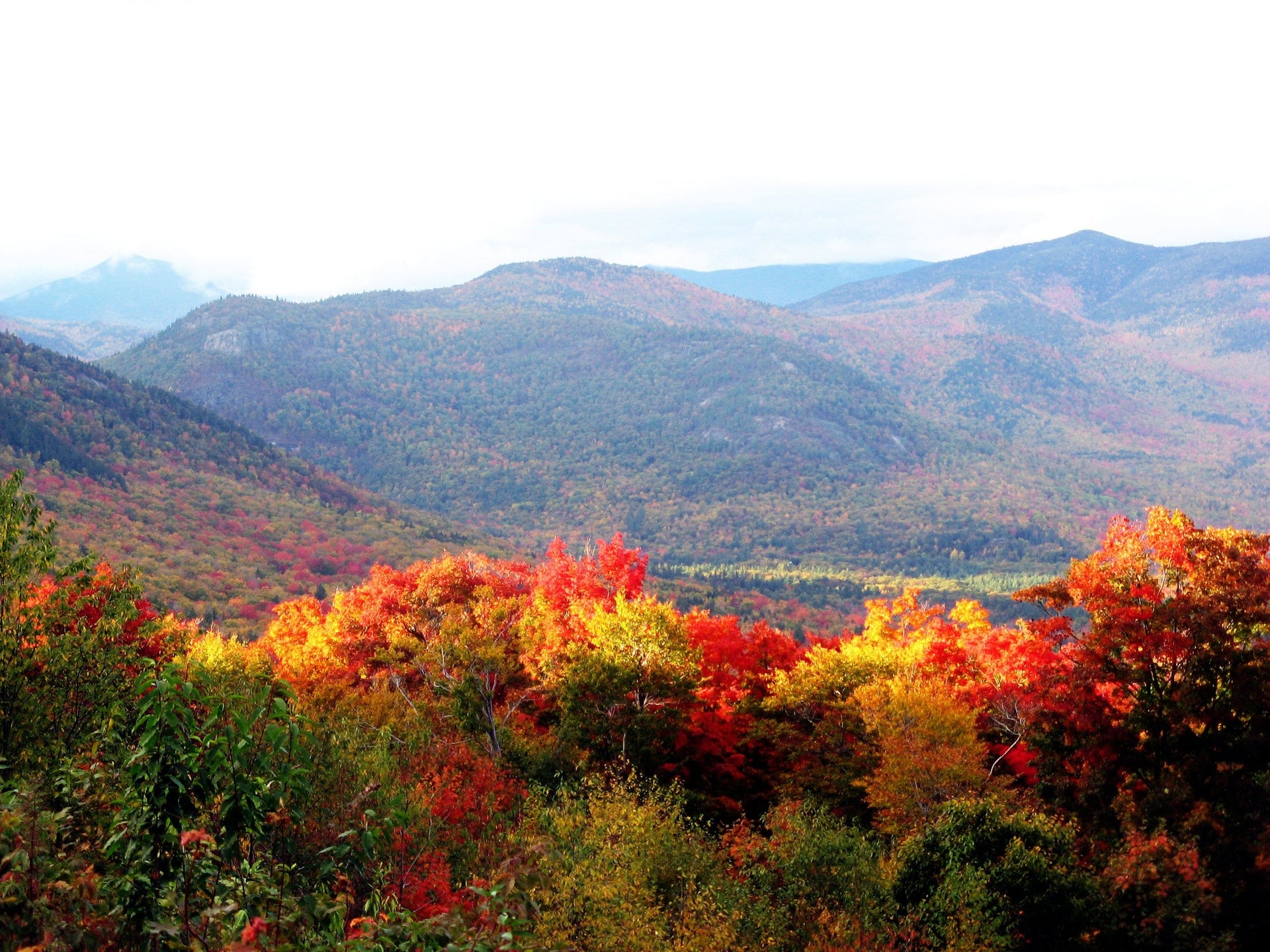 Great Reasons to Use Coloured Envelopes this Autumn