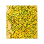 165 x 165 Gold Holographic Foil Bags [Qty 250] - All Colour Envelopes
