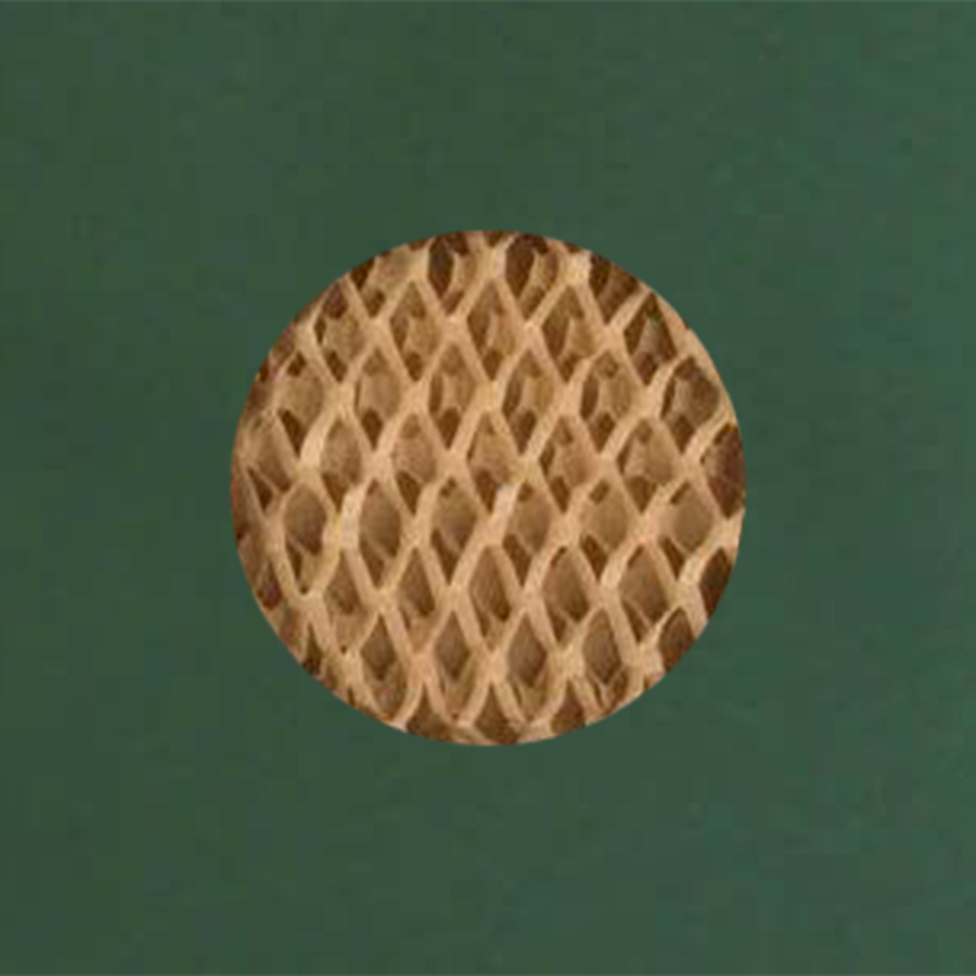 C4+ Eco Friendly Recyclable Dark Green Padded Envelope 340mm x 240mm [Qty 100] - All Colour Envelopes