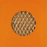 products/Orange-Cross-Section_10254428-95df-487f-b961-834e02e4360b.jpg