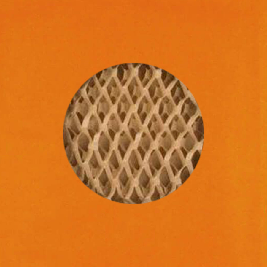 products/Orange-Cross-Section_10254428-95df-487f-b961-834e02e4360b.jpg