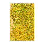 C5 Gold Holographic Foil Bags [Qty 250] 162 x 229mm - All Colour Envelopes