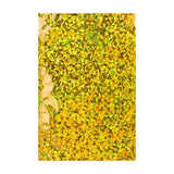 C5 Gold Holographic Foil Bags [Qty 250] 162 x 229mm - All Colour Envelopes