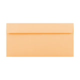 products/dl-peach-envelopes.jpg