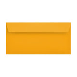 DL Multi Colour Mixed 120gsm Peel & Seal Envelopes (Box 5) [Qty 250] 114mm x 229mm - All Colour Envelopes