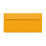 DL Multi Colour Mixed 120gsm Peel & Seal Envelopes (Box 4) [Qty 250] 114mm x 229mm - All Colour Envelopes