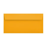 DL Multi Colour Mixed 120gsm Peel & Seal Envelopes (Box 8) [Qty 250] 114 x 229mm - All Colour Envelopes